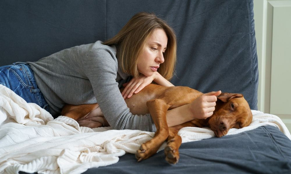 padrona cura il suo cane sdraiata sul divano