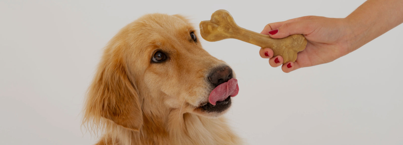 Masticativi per cani naturali, soluzione per la sua igiene orale
